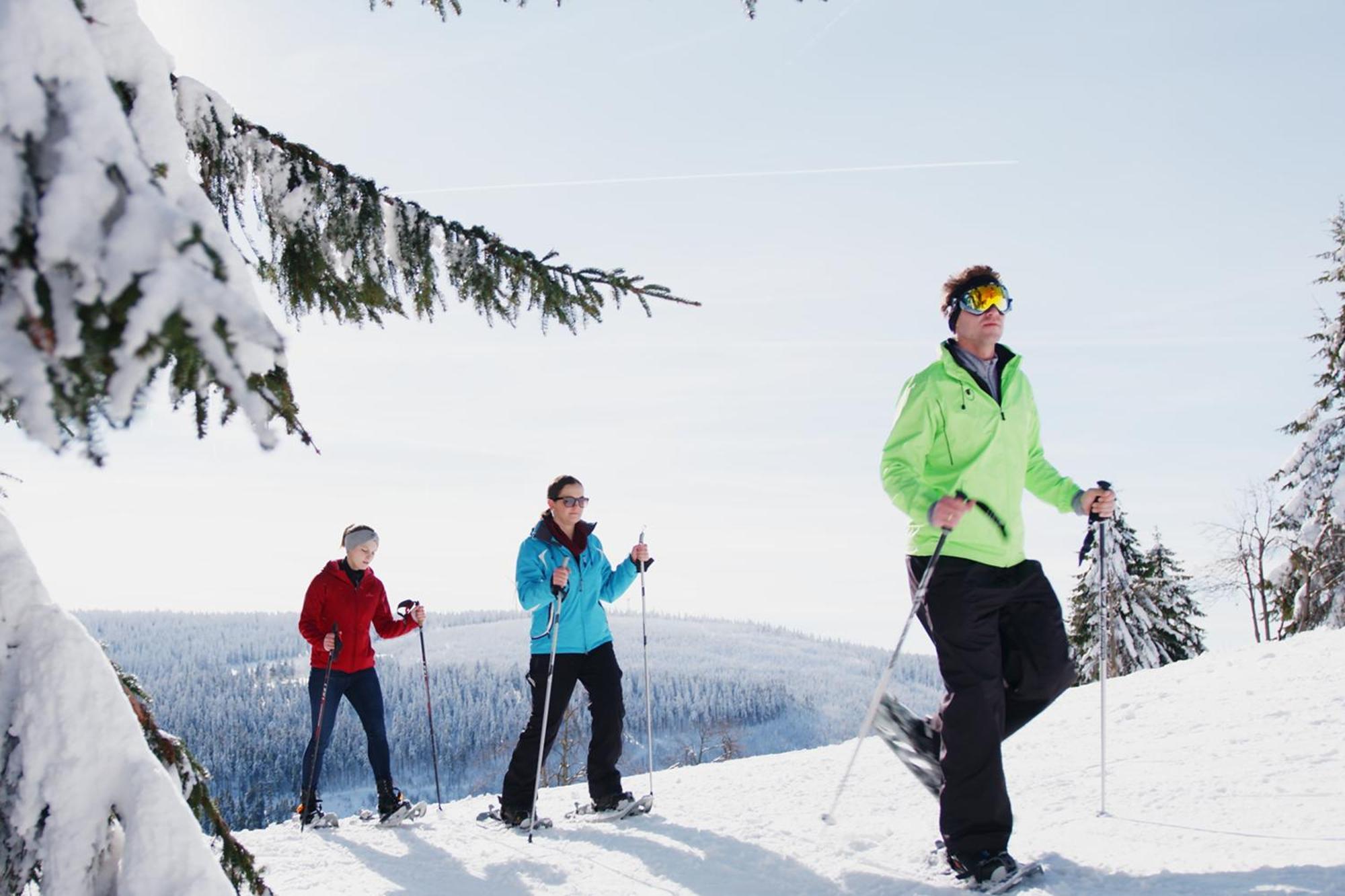 Ahorn Hotel Am Fichtelberg クロルト・オーバーヴィーゼンタール エクステリア 写真