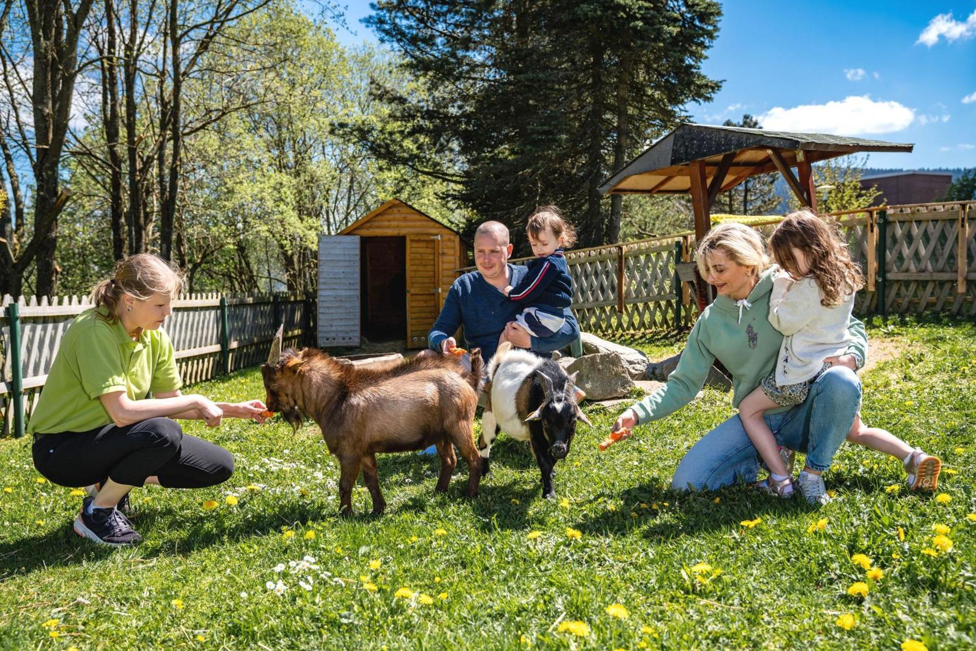 Ahorn Hotel Am Fichtelberg クロルト・オーバーヴィーゼンタール エクステリア 写真